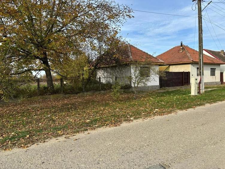 Casă cu Teren 4000 Mp în Sălbăgelu Nou