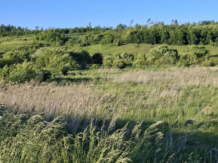 Teren de 4500 mp, în Vâlcele