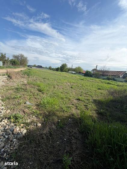 Teren de 3100 mp, în Hemeiuș