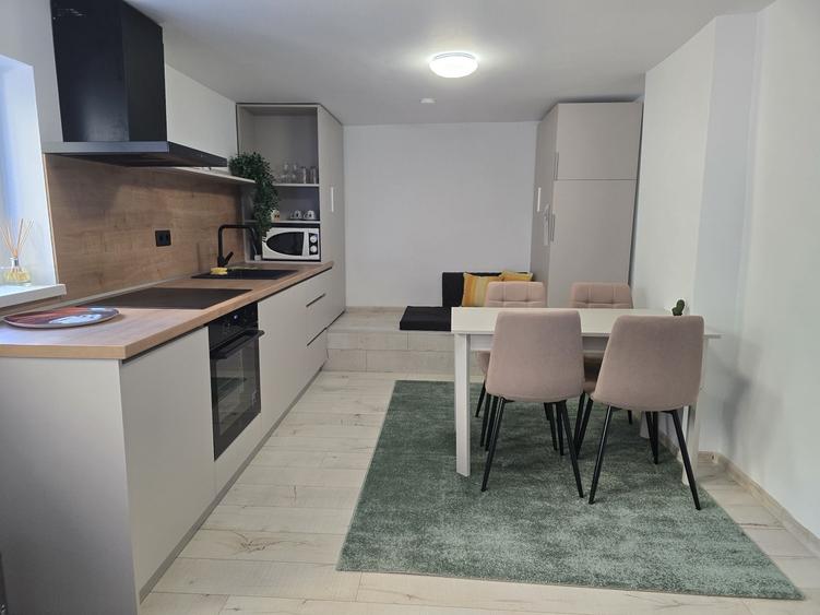 Hasdeu Apartament - proprietar - 3