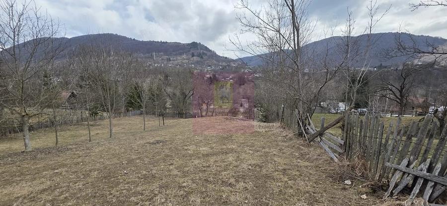 Teren de 2500 mp, în Valea Doftanei