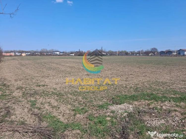 Vanzare teren industrial, 5720mp, deschidere 18m, Magurele, Ilfov - Magurele (Bucuresti-Ilfov) - 2