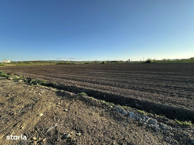 Teren de 10000 mp, în Târnăveni