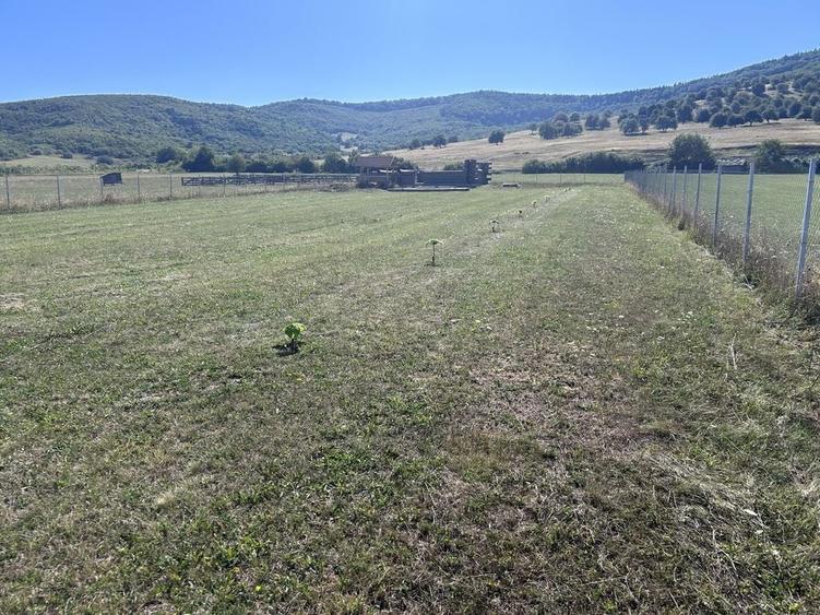 Casă cu 4 camere cu Teren 2000 Mp în Poiana Stampei