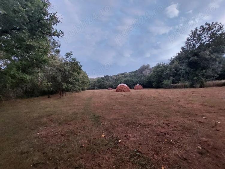 Teren de 2500 mp, în Drajna