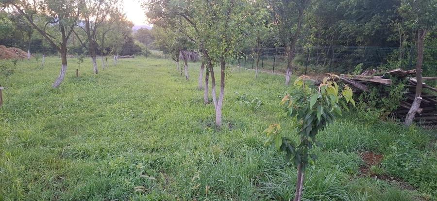 Casă cu 4 camere în Stâlpeni