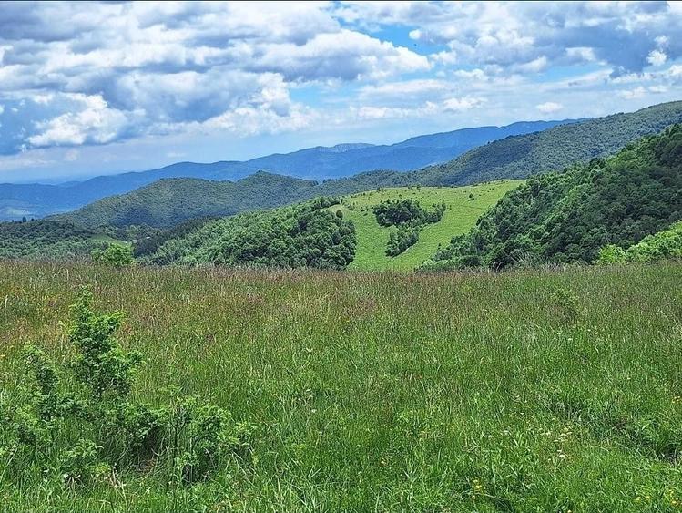 Teren de 9000 mp, în Central