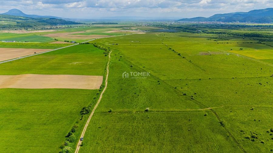 Teren agricol extravilan de 5800 mp, în Tohanu Nou