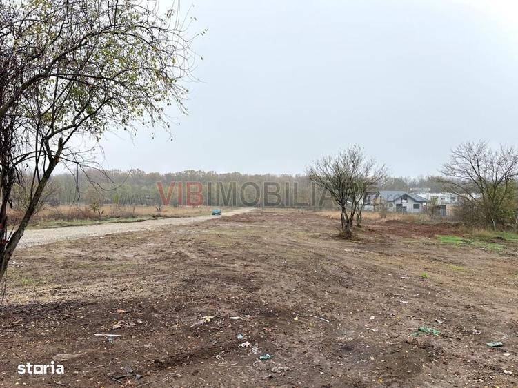 Spațiu comercial, în Ciofliceni