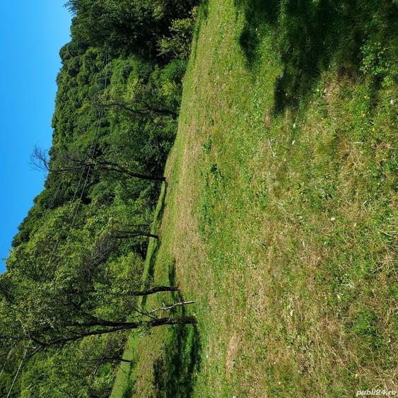 Teren de 3800 mp, în Arefu