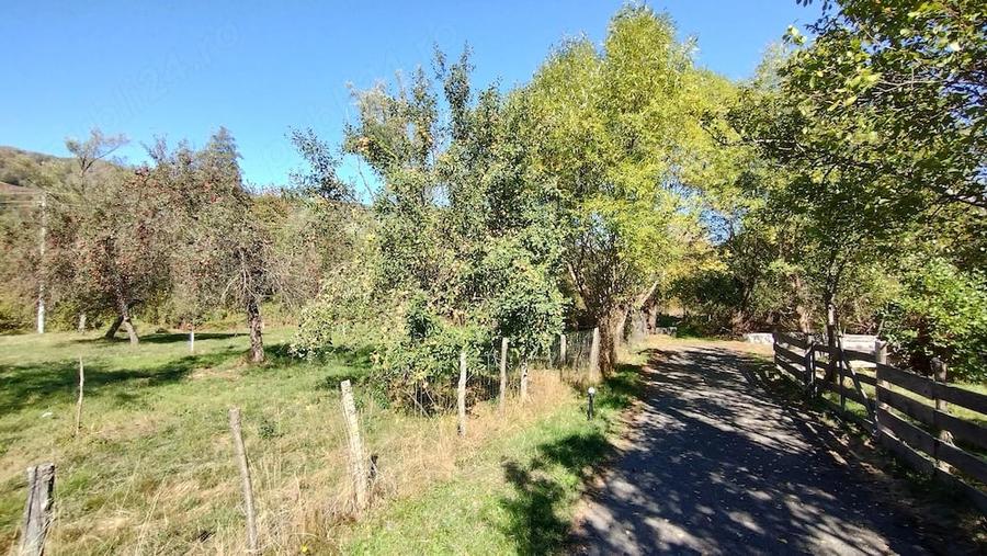 Teren de 9288 mp, în Bucova