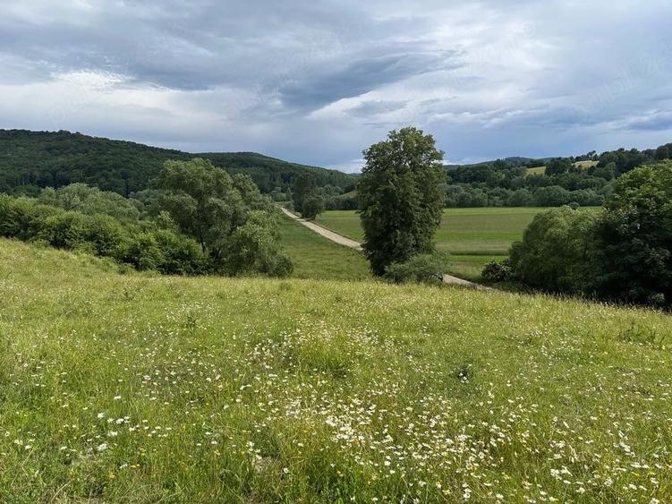 Teren de 4500 mp, în Deleni
