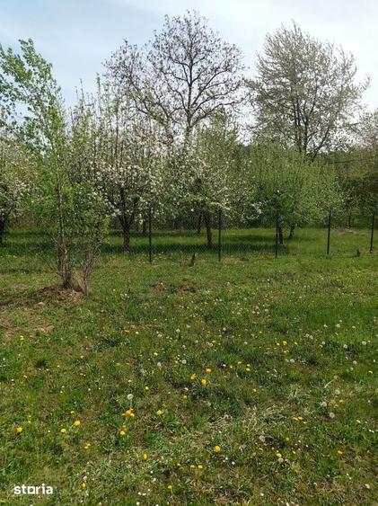 Teren de 718 mp, în Brebu