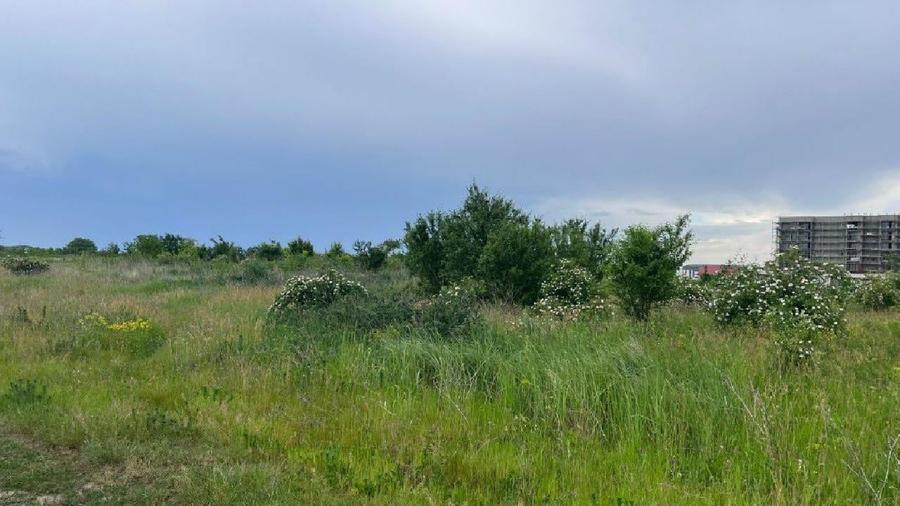 Teren agricol intravilan de 447 mp, în Chiajna