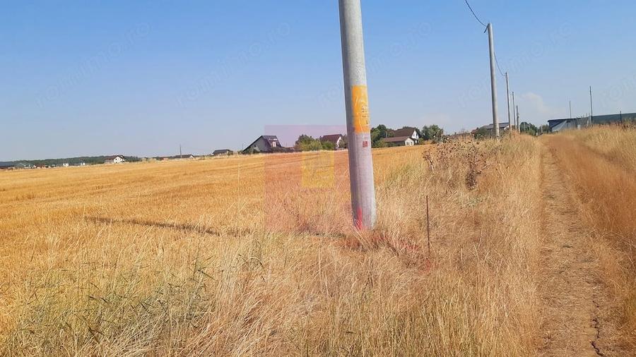 Teren de 2000 mp, în Brănești