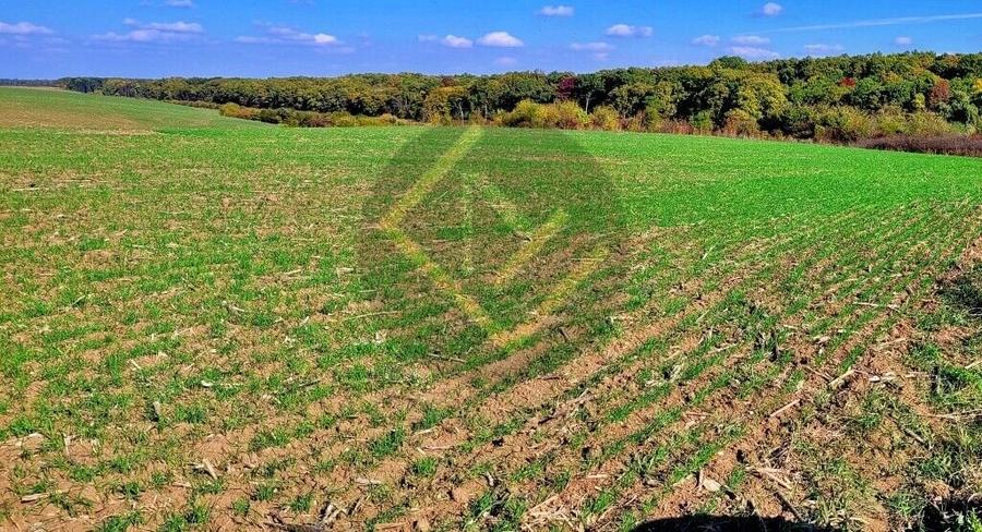 Teren Construcții intravilan de 91000 mp, în Snagov