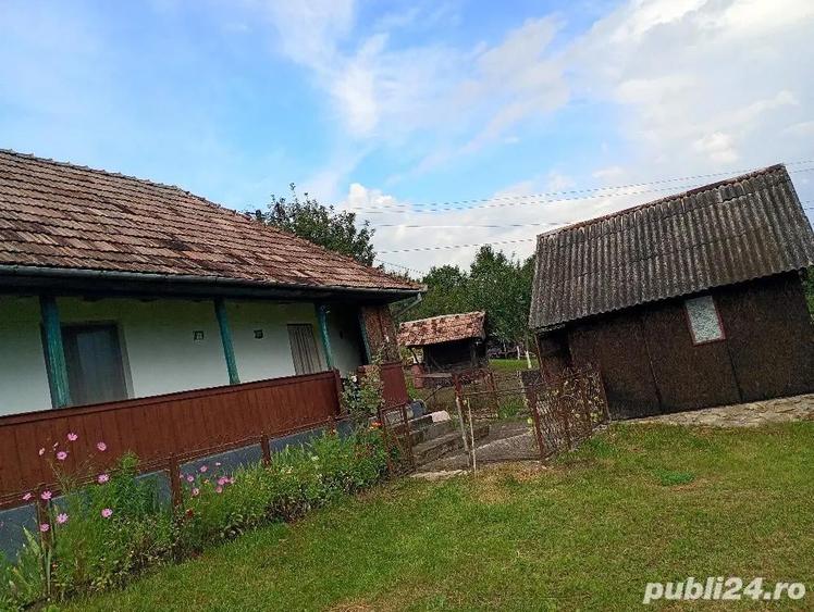 Casă în Petea