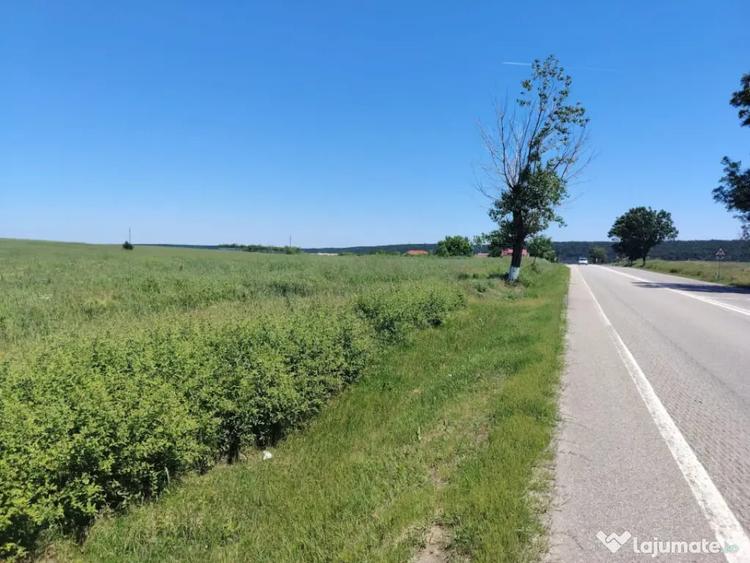 Teren intravilan de vanzare 3250 mp, Bal? / Bobice?ti - 1