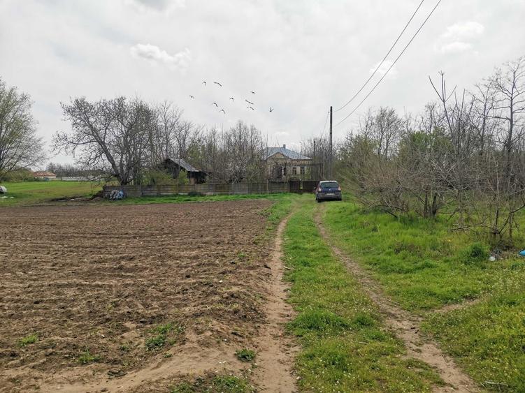 Teren de 122 mp, în Dobrotești