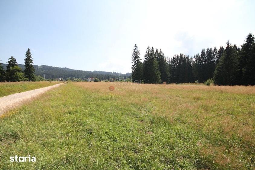 Teren de 8823 mp, în Predeal