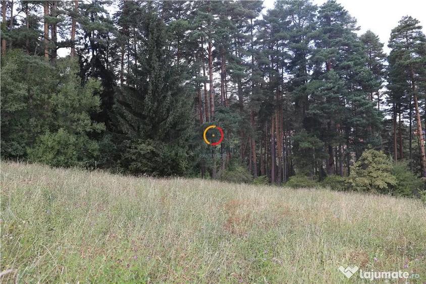 Teren de 1195 mp, în Poiana Angelescu