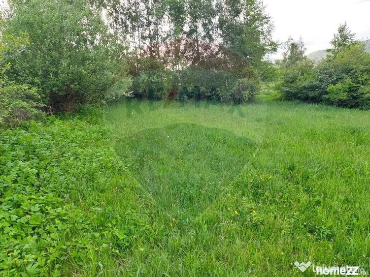 Teren în Tohănița