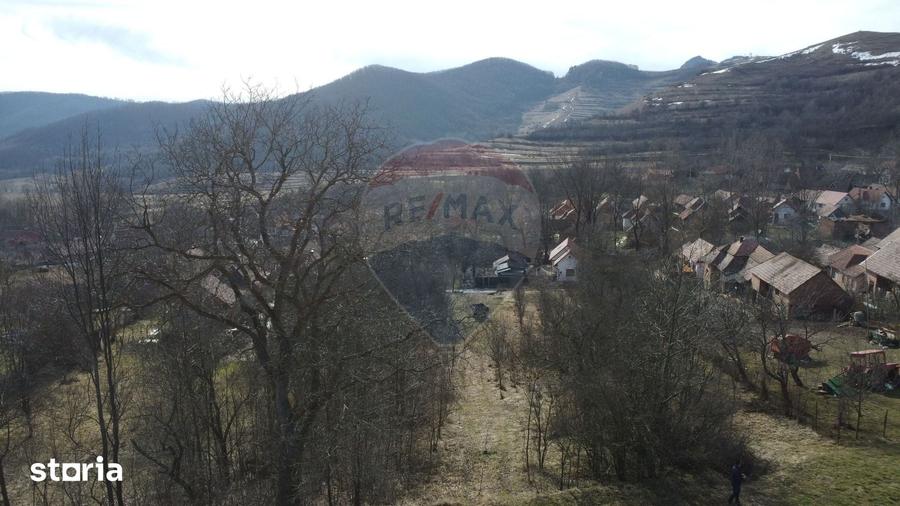Teren de 1271 mp, în Livezile