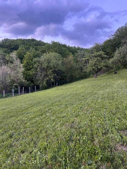 Teren de 11454 mp, în Șoimari