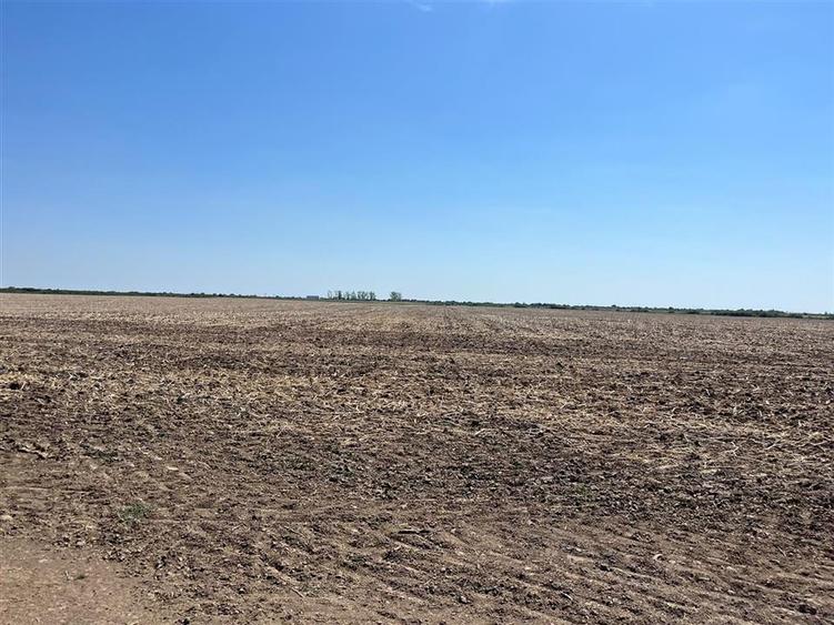 Teren agricol extravilan de 18100 mp, în Tinca