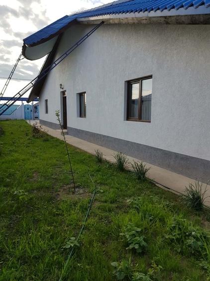 Vand casa parter+masarda - 7