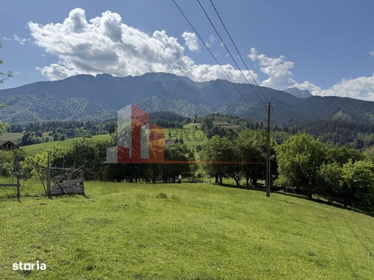 Spațiu comercial, în Bran