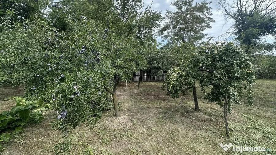 Casa traditionala+teren 1172mp intravilan in Lunca Corbul... - 3