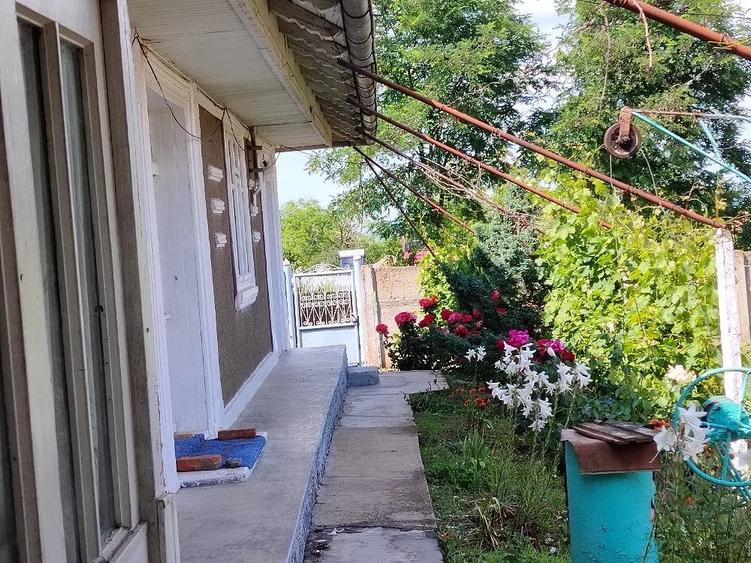 Casă cu Teren 2400 Mp în Cârja