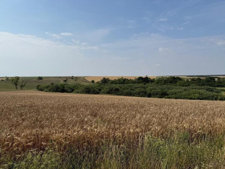 Teren intravilan Miersig, vedere la lac. 12,5 E/mp neg. C... - 1