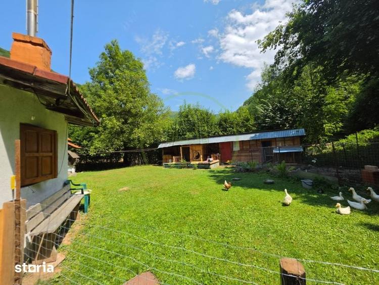 PROPRIETATE EXTRAORDINARA LOTRIOARA, JUDE?UL SIBIU! - 10