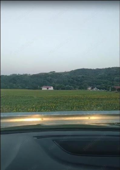 Teren de 500000 mp, în Borăscu