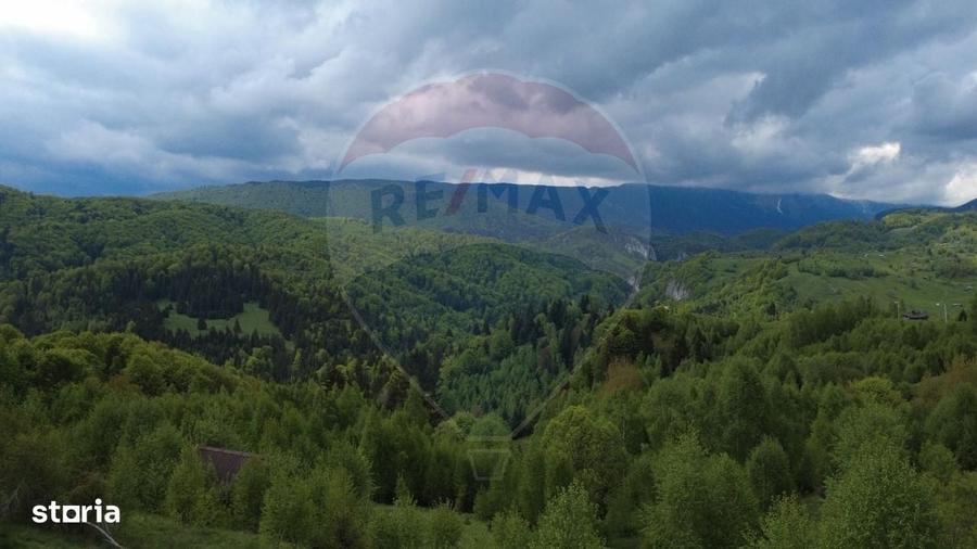 Spațiu comercial, în Dâmbovicioara