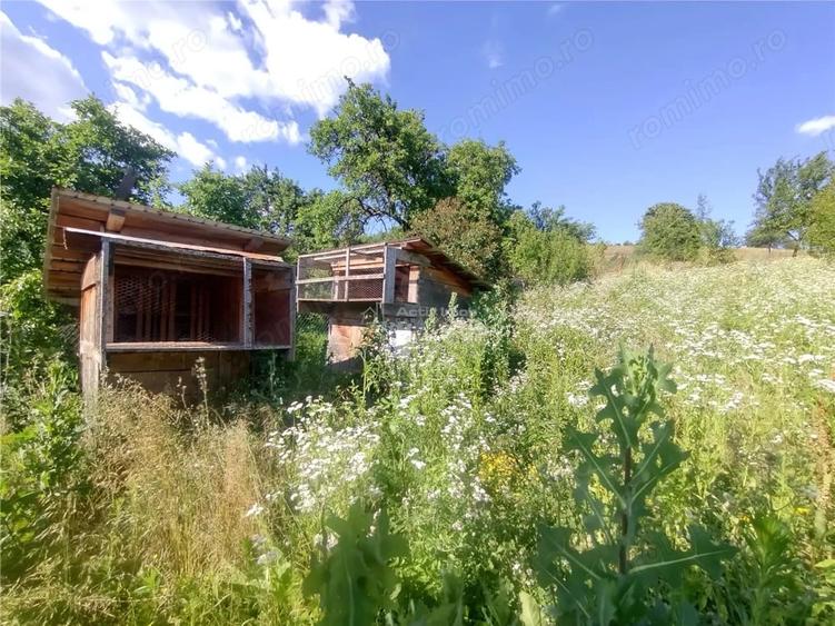 Casă cu 2 camere cu Teren 575 Mp în Vest