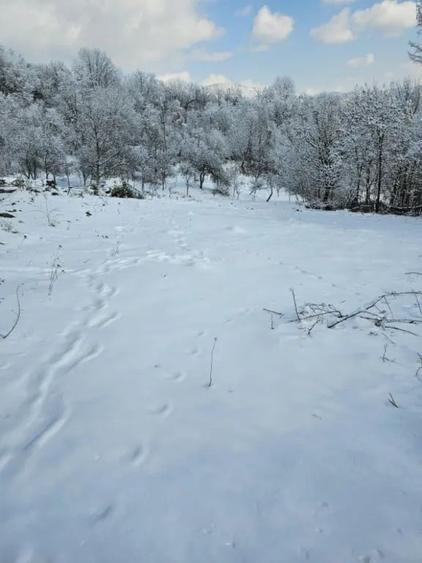Loturi de vanzare-intravilane! - 8