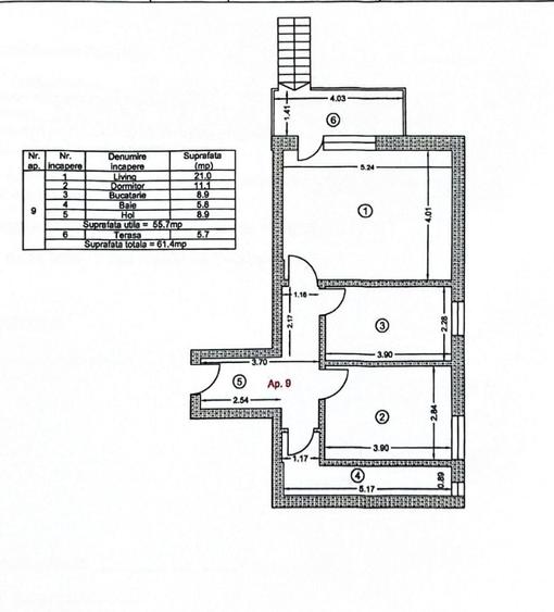 Apartament cu curte de 200mp la 10 minute de metrou Berceni pret - 4