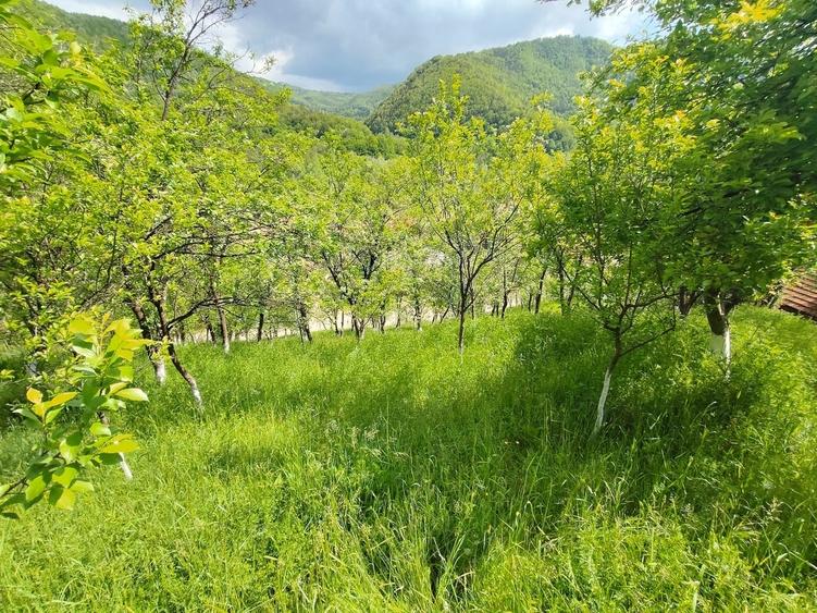 Casă cu 4 camere cu Teren 455 Mp în Central