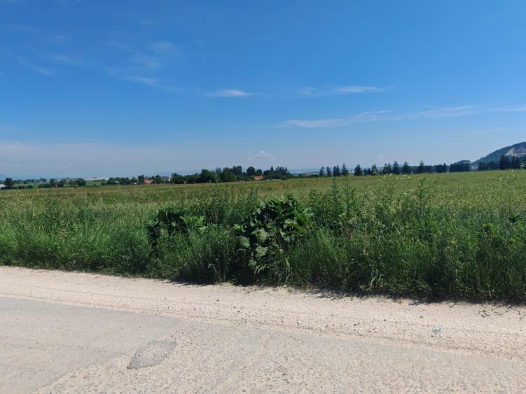 Teren Construcții intravilan de 16000 mp, în Cristian