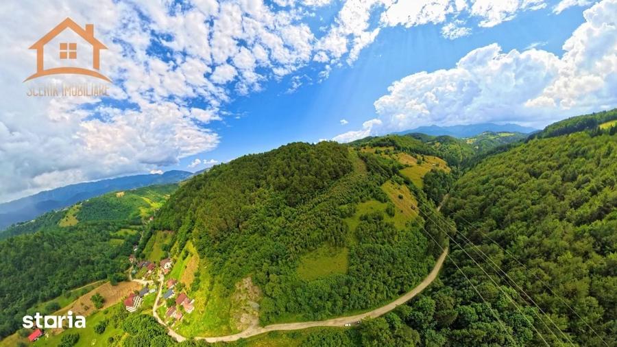Investitie Smart in Moieciu, 3.1 ha, Panorama 360 Bucegi - Piatra Crai - 13