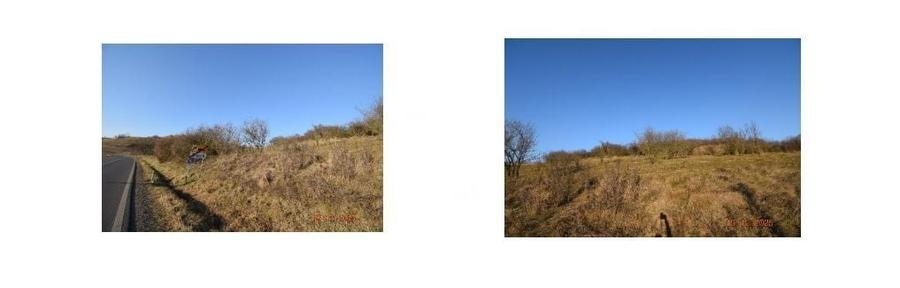 Teren de 8700 mp, în Adămuș