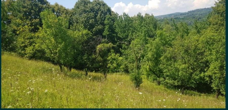 Teren Construcții intravilan de 17000 mp, în Doftana