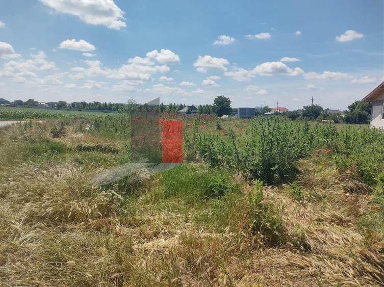 Teren agricol intravilan de 727 mp, în Dobreni