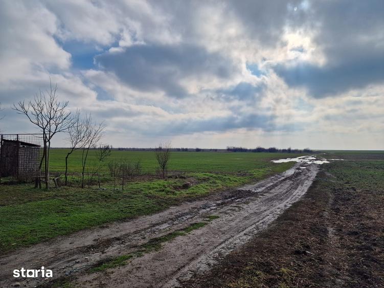 Teren de 14635 mp, în Frumușani
