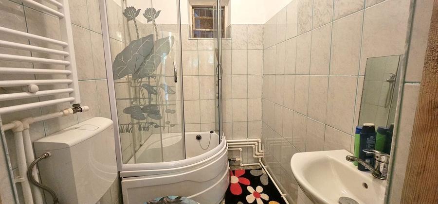 Casa la sol cu teren 1055 mp si livada - Vanatori, Galati - 10