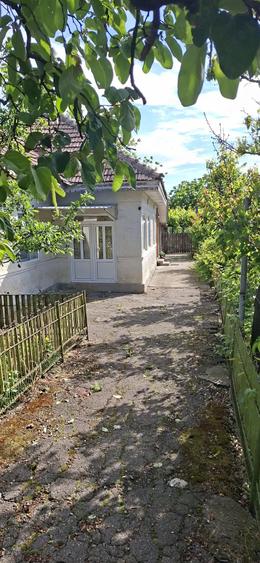 Casă cu Teren 3100 Mp în Coțatcu