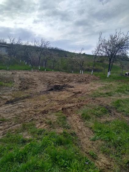 Teren de 700 mp, în Vlădiceni
